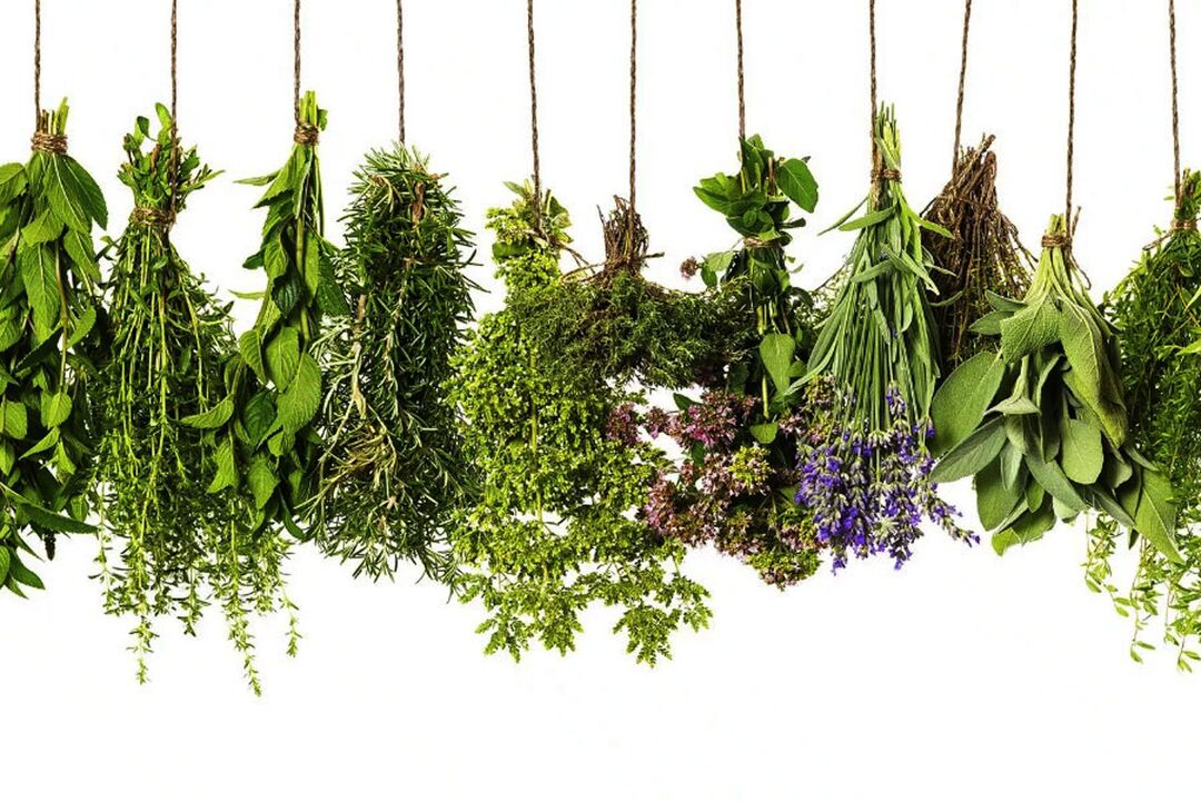 extract de plante tropicale în Eroboost